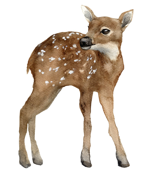 Bambi silityskuva, isompi
